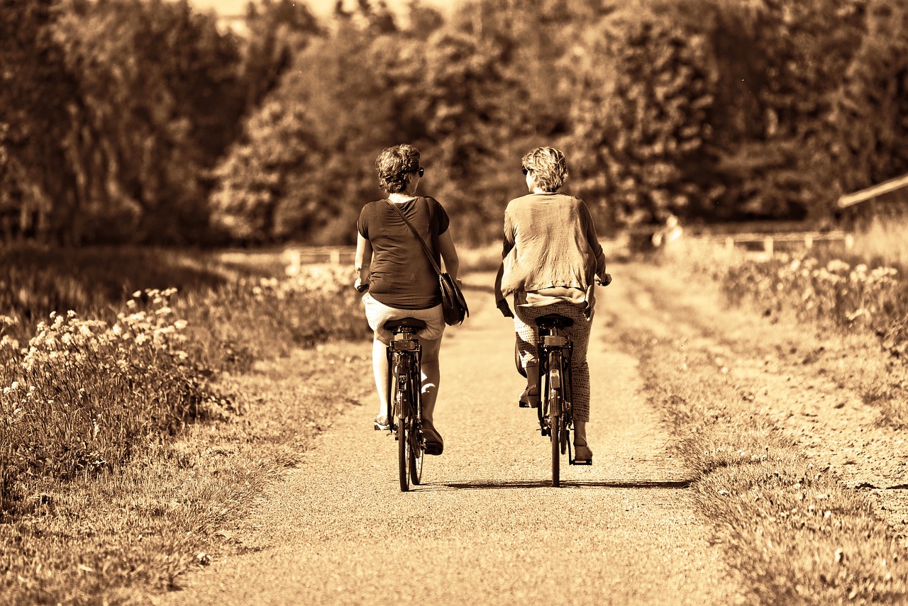personas paseando en bicicleta por un camino de montaña