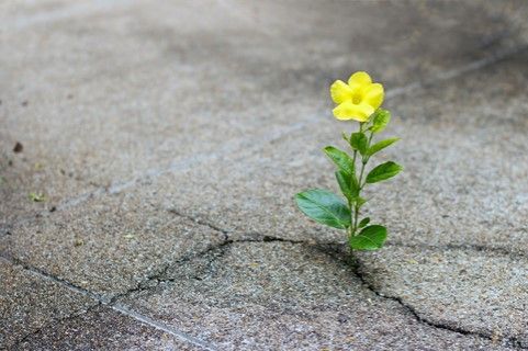 Razones para la esperanza